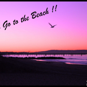 Let's go to the beach ! Venice, Malibu, Santa Monica