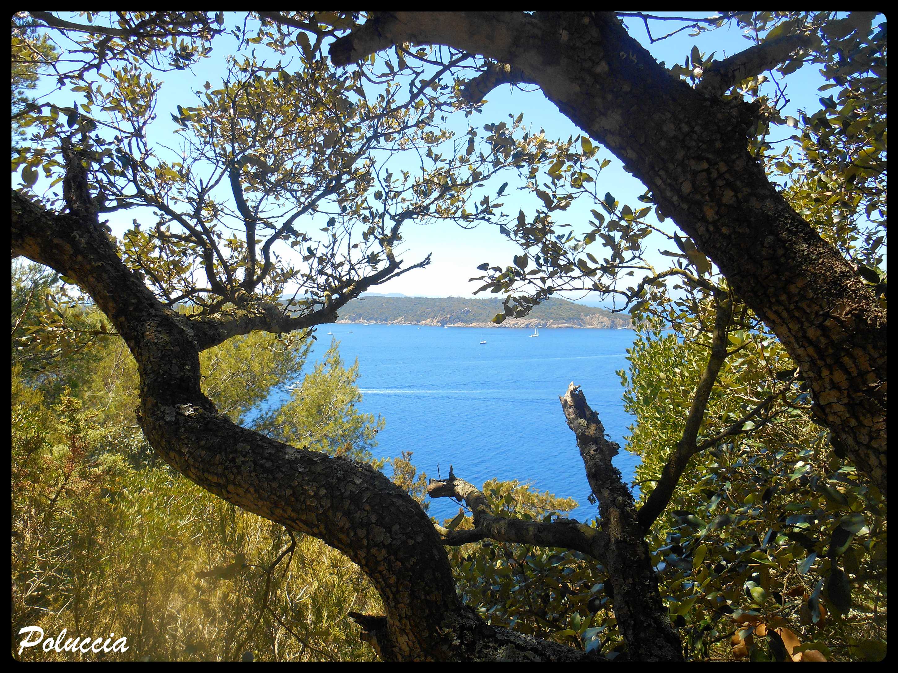 Ce petit coin de Paradis … Port-Cros ♥